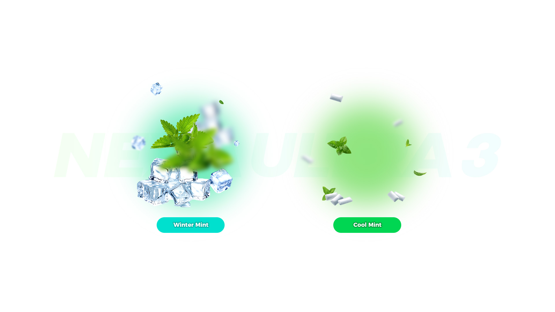 Winter Mint & Cool Mint
